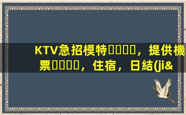 KTV急招模特，提供機票，住宿，日結(jié)